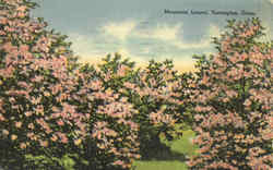 Mountain Laurel Torrington, CT Postcard Postcard