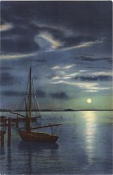 Moon Rising Over Biscayne Bay Miami, FL Postcard Postcard