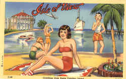 Greeting from Santa Catalina Island Beach Scene California Postcard Postcard
