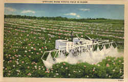 Spraying Maine Potato Field in Bloom Scenic, ME Postcard Postcard