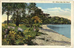 Along Lake Erie Shore Postcard