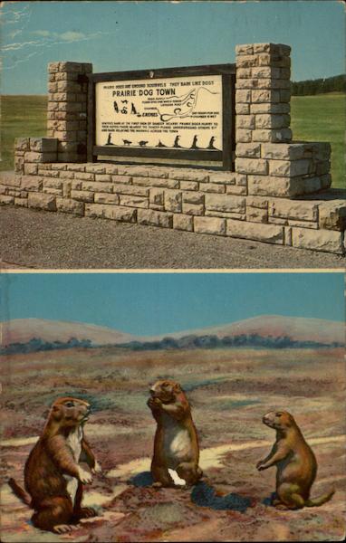 Prairie Dog Town - Wind Cave Nat'l Park Black Hills South Dakota