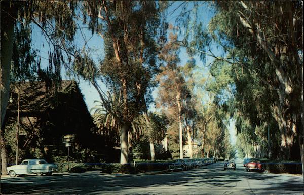 College Avenue, Pamona College Claremont California