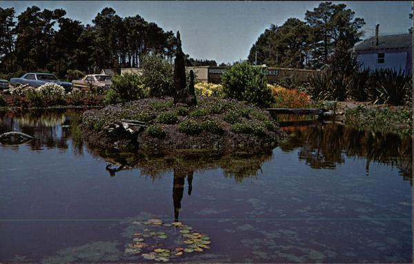 Agathea on Island along the Mendocino Coast of California Fort Bragg