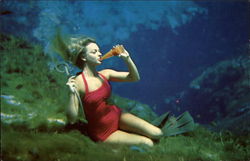 Weeki Wachee "Spring of the Mermaids" Florida Postcard Postcard