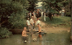 Stocking North Park Lake with fish Postcard