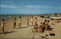 View of Beach Postcard