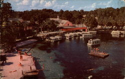 Safe, electrically propelled Glass Bottom Boats Silver Springs, FL Postcard Postcard