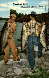 Two fishermen with catfish Pickwick Dam, TN Postcard Postcard