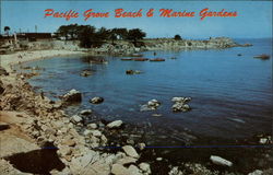 Pacific Grove Beach & Marine Gardens California Postcard Postcard