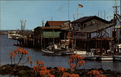 Colorful Old Fisherman's Wharf Postcard