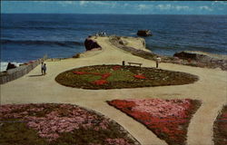Lighthouse Point Santa Cruz, CA Postcard Postcard