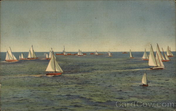 Sailing O'er The Bay Sarasota Florida