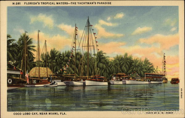 Coco Lobo Cay Miami Florida