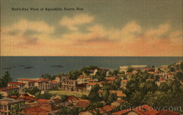 Bird's-Eye View of Aguadilla Puerto Rico