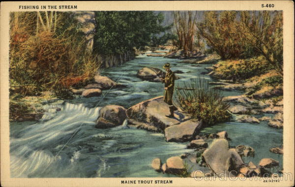Fishing in the stream: Maine Trout Stream Minnesota