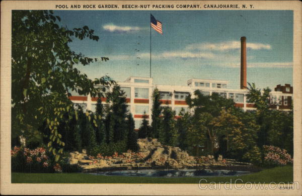 Pool and Rock Garden, Beech-Nut Packing Compay Canajoharie New York
