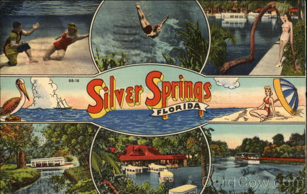 Views of Silver Springs Florida