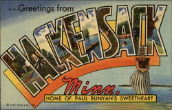 Home of Paul Bunyan's Sweetheart - Various views Hackensack, MN Postcard Postcard