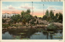 Lily Pond, City Park Postcard