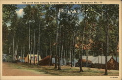 Fish Creek State Camping Grounds, Adirondack Mts Postcard