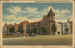 American Museum of Natural History Postcard