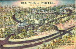 Blu-Vue Motel & Restaurant Postcard