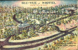 Blu-Vue Motel & Restaurant Mount Airy, NC Postcard Postcard