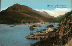 Scene on White Pass & Yukon Route Postcard