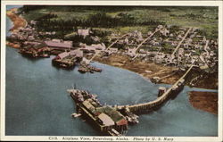 Airplane view Petersburg, AK Postcard Postcard