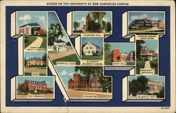 Scenes on the University of New Hampshire Campus Postcard