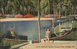 Sanlando Springs Tropical Park Orlando, FL Postcard Postcard