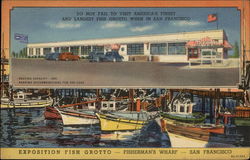 Exposition Fish Grotto - Fisherman's Wharf Postcard