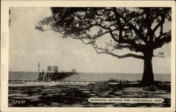 Municipal Bathing PIer Pascagoula, MS Postcard Postcard