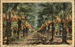 Stock #249469 Thumbnail