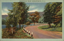 Road along the river Kenilworth, NJ Postcard Postcard