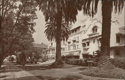 Stock #249506 Thumbnail