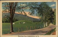 Greetings - Rural view of Patures and Hills Postcard