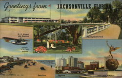 Views of Jacksonville Postcard