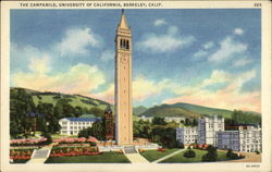 The Campanile, University of California Berkeley, CA Postcard Postcard