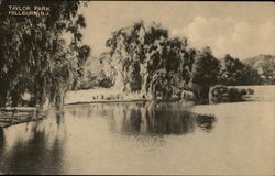 Taylor Park Postcard