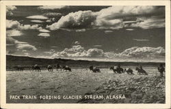 Pack Train Fording Glacier Stream Pack Train Fording Glacier Stream