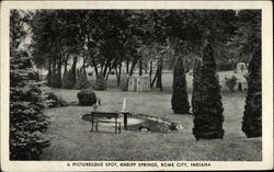 A Picturesque Spot, Kneipp Springs Postcard