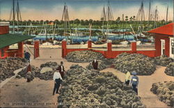 T103 Sponges and Spong Boats at Tarpon Springs, Florida Postcard