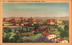 University of California Los Angeles, CA Postcard Postcard