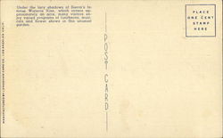 back