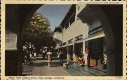 Along Palm Canyon Drive Postcard