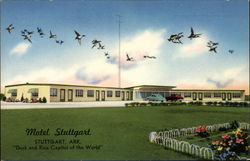 Motel Stuttgart Arkansas Postcard Postcard