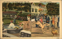 Just Arrived at Hot Springs National Park; after taking 21 baths Arkansas Postcard Postcard