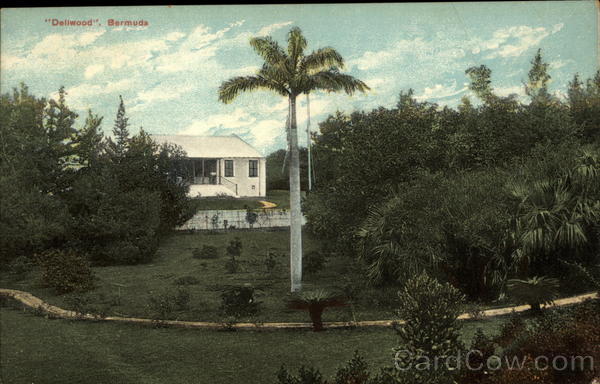 Dellwood Bermuda